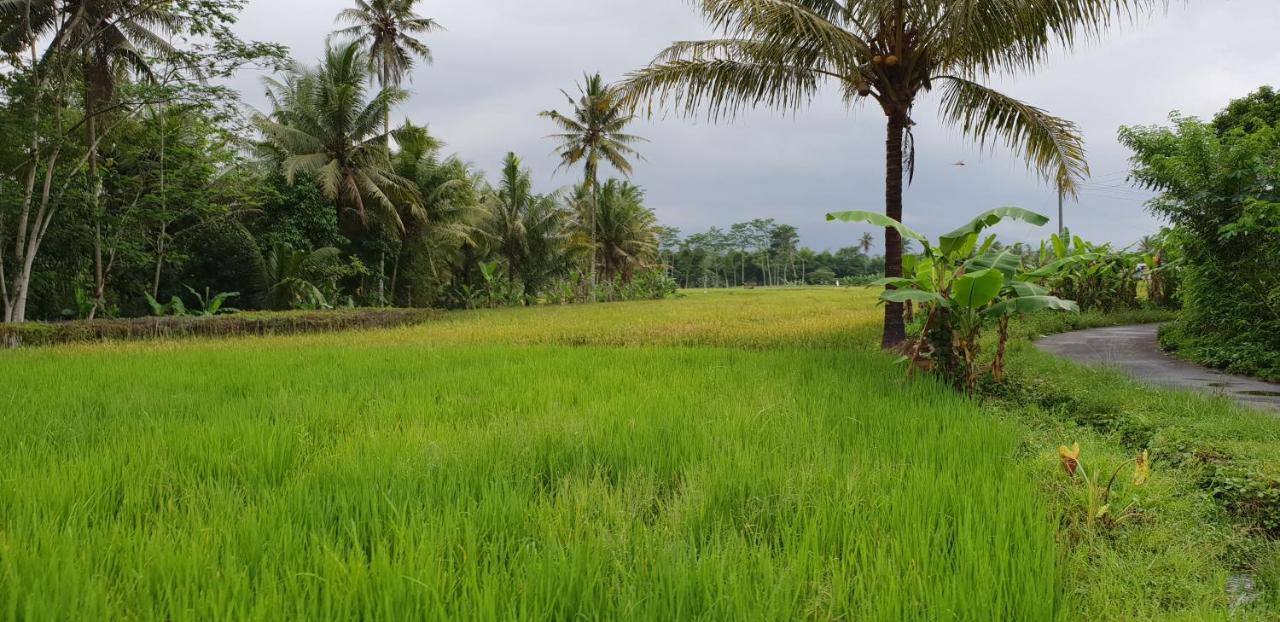 Borobudur Bed & Breakfast Magelang Exterior foto