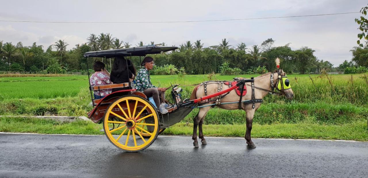 Borobudur Bed & Breakfast Magelang Exterior foto